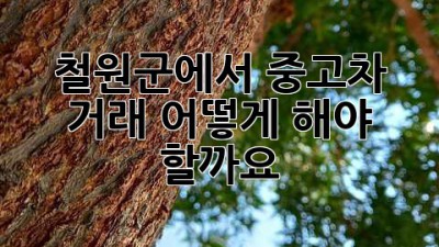 철원군에서 중고차 거래, 어떻게 해야 할까요?